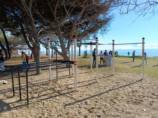 Afrodita estructura de Street Workout-Cal·listènia
