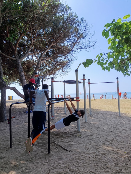 Afrodita structure Street Workout-Calisthenics