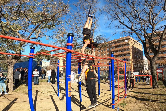 Apolo estructura de Street Workout-Calistenia