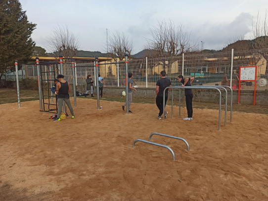 Àrea 10 Street Workout Cal·listènia