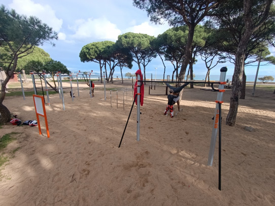 Àrea 19 Street Workout Calistenia
