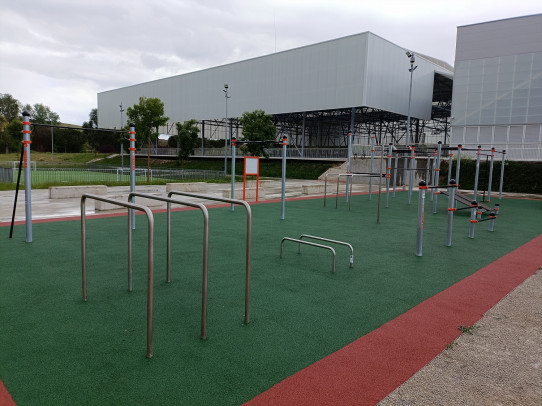 Area 25 Street Workout calistenia