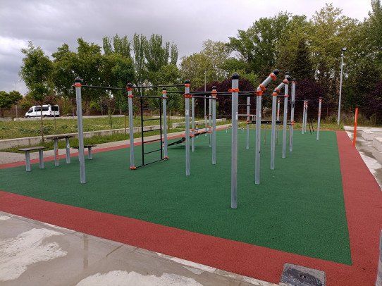 Area 25 Street Workout calistenia