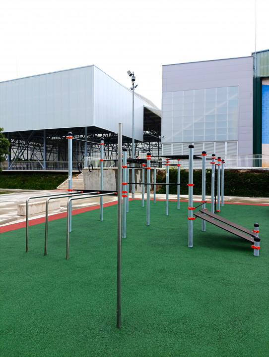 Area 25 Street Workout calistenia