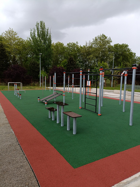 Area 25 Street Workout calistenia