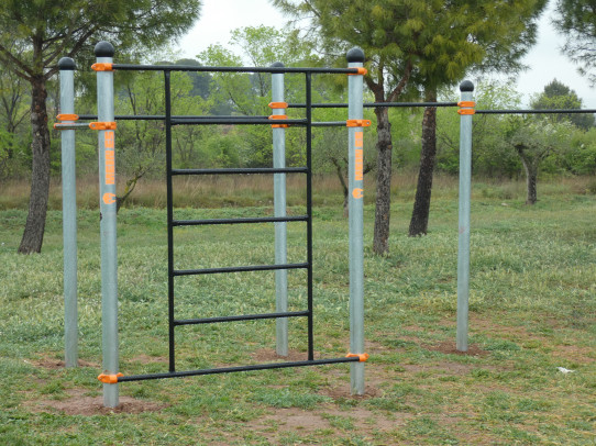 Area 5 Street Workout Calisthenics