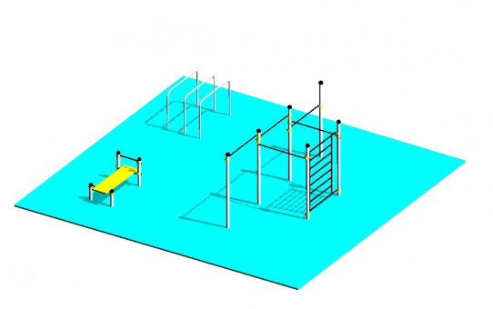 Àrea 5 Street Workout Cal·listènia