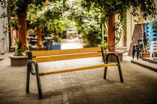 Laxmi bench