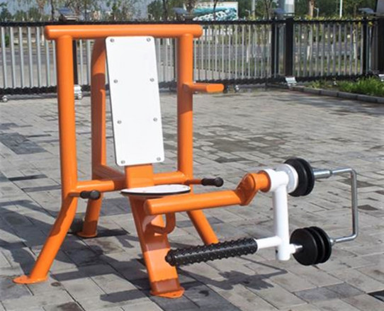 Leg Extension