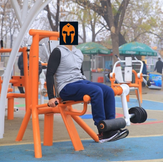 Leg Extension