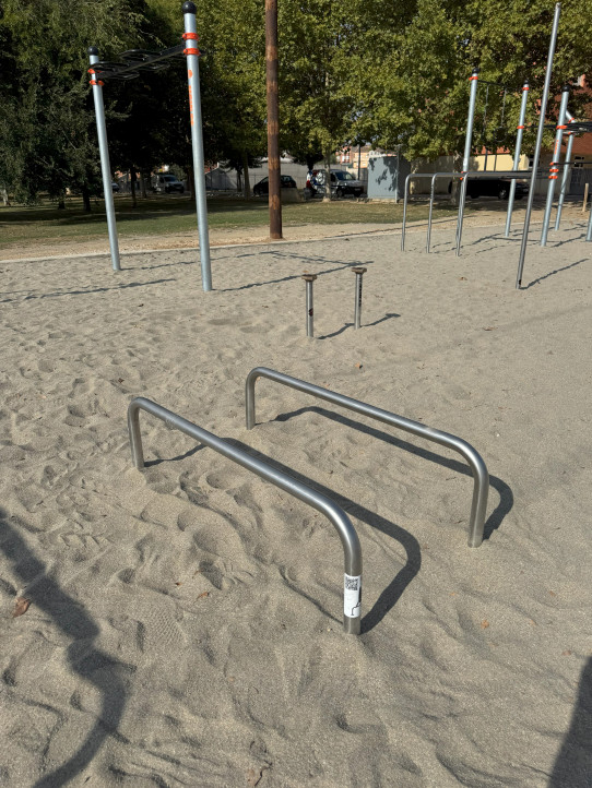 Low Parallel Street Workout