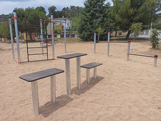 Platform jumps Street Workout