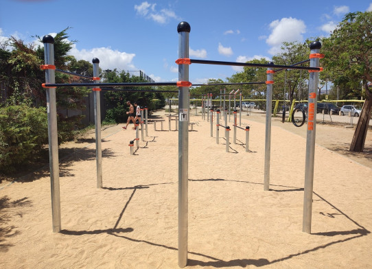 Structure de Iris de Street Workout-Calisthenia