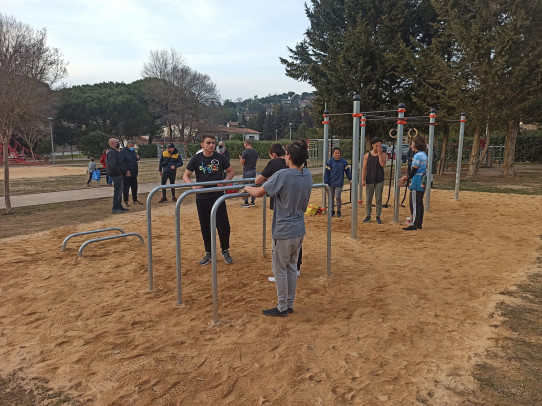 Zone 10 Street Workout Calisthenics